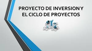 desarrollo de proyectos de inversion